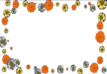Effet photo de catégorie Cadres de photo pour femmes № 150630