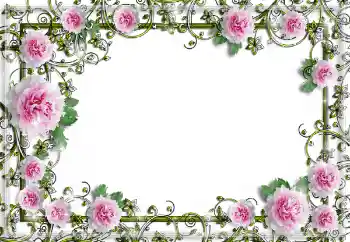 Effet photo de catégorie Cadres de photo pour femmes № 150641