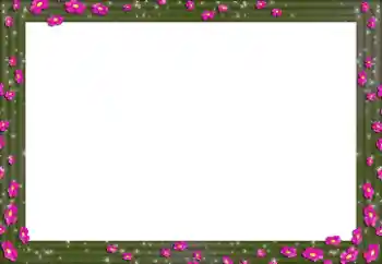 Effet photo de catégorie Cadres de photo pour femmes № 154328