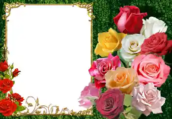 Effet photo de catégorie Cadres de photo pour femmes № 154447