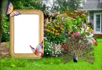 Effet photo de catégorie Cadres de photo pour femmes № 155936