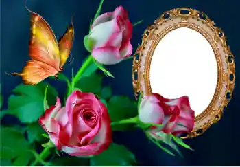 Effet photo de catégorie Cadres de photo pour femmes № 157089
