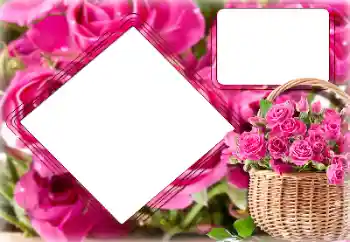 Effet photo de catégorie Cadres de photo pour femmes № 157091