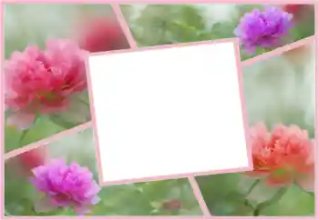 Effet photo de catégorie Cadres de photo pour femmes № 160554