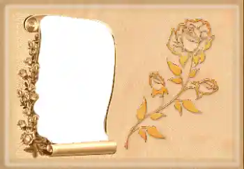Effet photo de catégorie Cadres de photo pour femmes № 160601