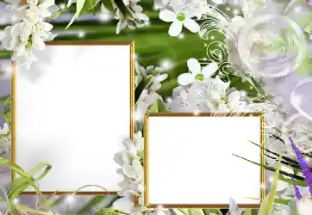 Effet photo de catégorie Cadres de photo pour femmes № 160610