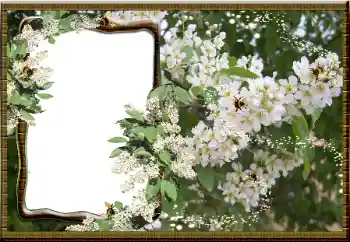 Effet photo de catégorie Cadres de photo pour femmes № 16069