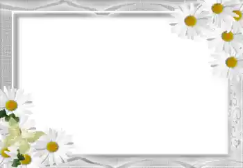 Effet photo de catégorie Cadres de photo pour femmes № 16071