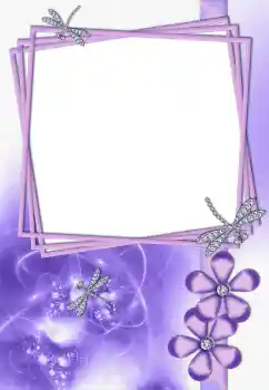 Effet photo de catégorie Cadres de photo pour femmes № 160749