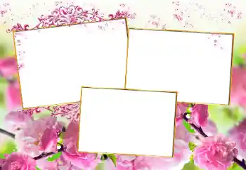 Effet photo de catégorie Cadres de photo pour femmes № 160777