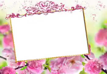 Effet photo de catégorie Cadres de photo pour femmes № 163327