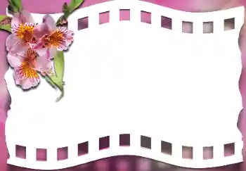 Effet photo de catégorie Cadres de photo pour femmes № 163337