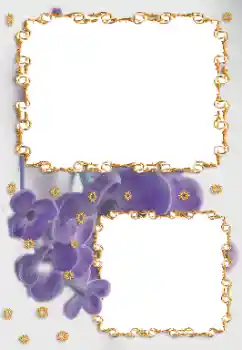 Effet photo de catégorie Cadres de photo pour femmes № 164696