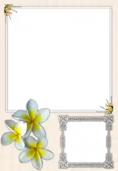Effet photo de catégorie Cadres de photo pour femmes № 164699