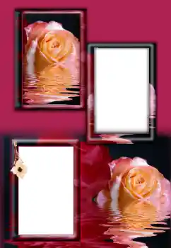 Effet photo de catégorie Cadres de photo pour femmes № 164787