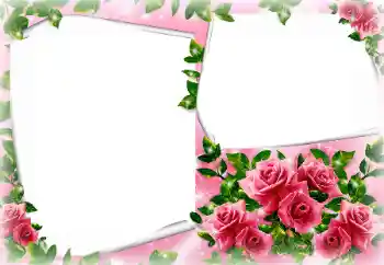 Effet photo de catégorie Cadres de photo pour femmes № 165957