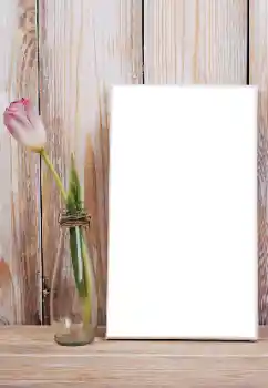 Effet photo de catégorie Cadres de photo pour femmes № 165992