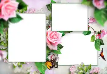 Effet photo de catégorie Cadres de photo pour femmes № 166108