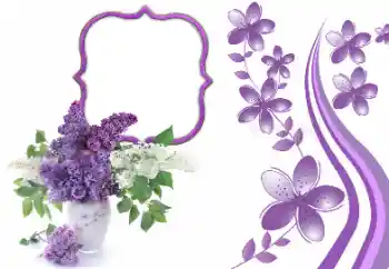 Effet photo de catégorie Cadres de photo pour femmes № 169273