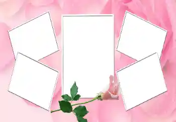 Effet photo de catégorie Cadres de photo pour femmes № 170552
