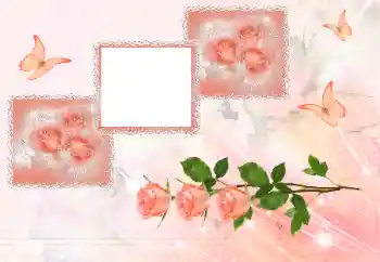 Effet photo de catégorie Cadres de photo pour femmes № 180707