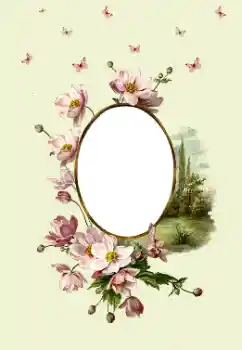 Effet photo de catégorie Cadres de photo pour femmes № 180747