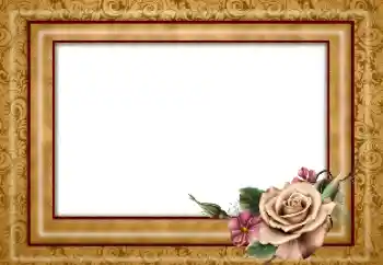 Effet photo de catégorie Cadres de photo pour femmes № 180754