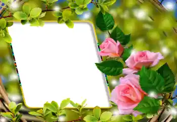 Effet photo de catégorie Cadres de photo pour femmes № 180860