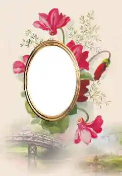 Effet photo de catégorie Cadres de photo pour femmes № 182112