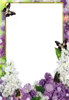 Effet photo de catégorie Cadres de photo pour femmes № 203271