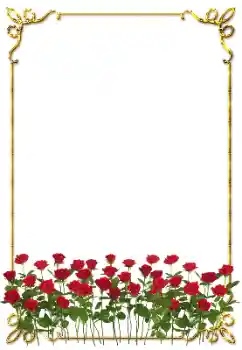 Effet photo de catégorie Cadres de photo pour femmes № 203273