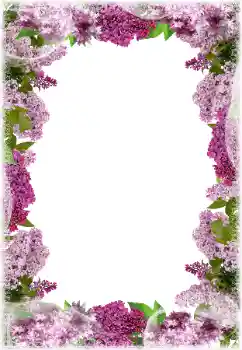 Effet photo de catégorie Cadres de photo pour femmes № 203297
