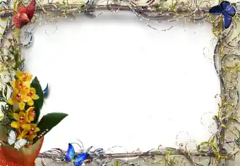 Effet photo de catégorie Cadres de photo pour femmes № 205374