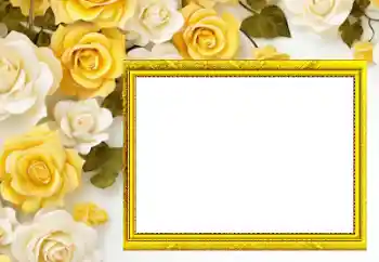 Effet photo de catégorie Cadres de photo pour femmes № 205558