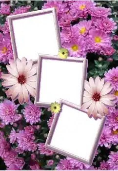 Effet photo de catégorie Cadres de photo pour femmes № 205803