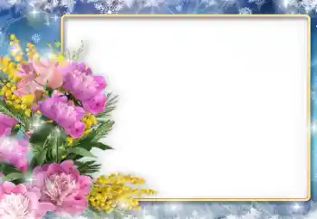 Effet photo de catégorie Cadres de photo pour femmes № 205831