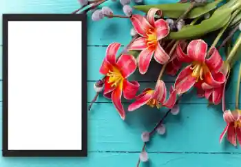 Effet photo de catégorie Cadres de photo pour femmes № 206174 Effet photo de catégorie Cadres de photo pour femmes № 206174