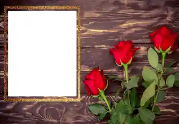 Effet photo de catégorie Cadres de photo pour femmes № 206175 Effet photo de catégorie Cadres de photo pour femmes № 206175