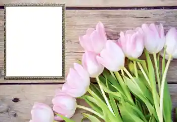 Effet photo de catégorie Cadres de photo pour femmes № 206178 Effet photo de catégorie Cadres de photo pour femmes № 206178