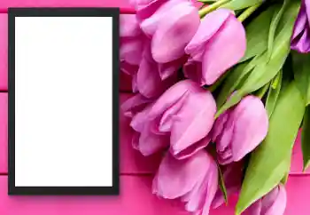 Effet photo de catégorie Cadres de photo pour femmes № 206179 Effet photo de catégorie Cadres de photo pour femmes № 206179