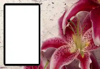 Effet photo de catégorie Cadres de photo pour femmes № 206184 Effet photo de catégorie Cadres de photo pour femmes № 206184