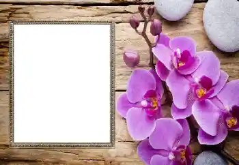 Effet photo de catégorie Cadres de photo pour femmes № 206185 Effet photo de catégorie Cadres de photo pour femmes № 206185