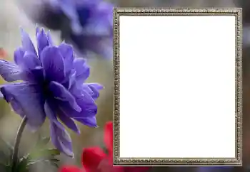 Effet photo de catégorie Cadres de photo pour femmes № 206189 Effet photo de catégorie Cadres de photo pour femmes № 206189