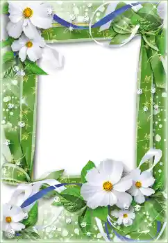 Effet photo de catégorie Cadres de photo pour femmes № 26770