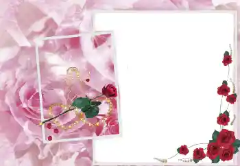 Effet photo de catégorie Cadres de photo pour femmes № 2697