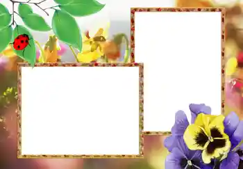 Effet photo de catégorie Cadres de photo pour femmes № 273