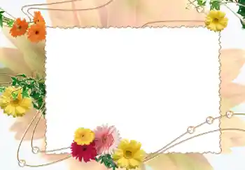 Effet photo de catégorie Cadres de photo pour femmes № 281
