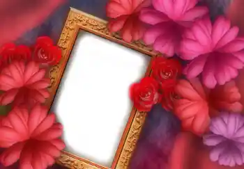 Effet photo de catégorie Cadres de photo pour femmes № 2919