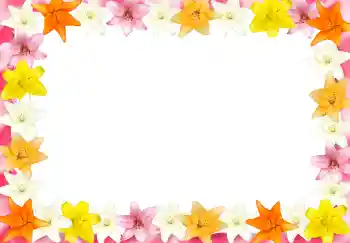 Effet photo de catégorie Cadres de photo pour femmes № 2989