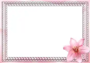 Effet photo de catégorie Cadres de photo pour femmes № 2991